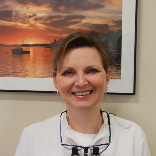Dr. Cristina Ilies — Dentist